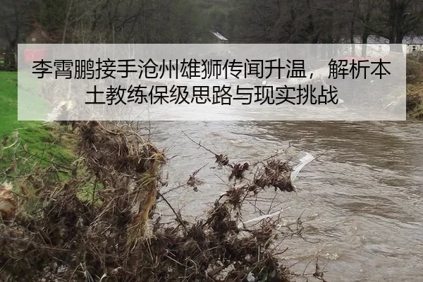 李霄鹏接手沧州雄狮传闻升温，解析本土教练保级思路与现实挑战