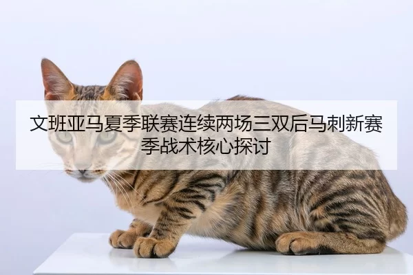 文班亚马夏季联赛连续两场三双后马刺新赛季战术核心探讨